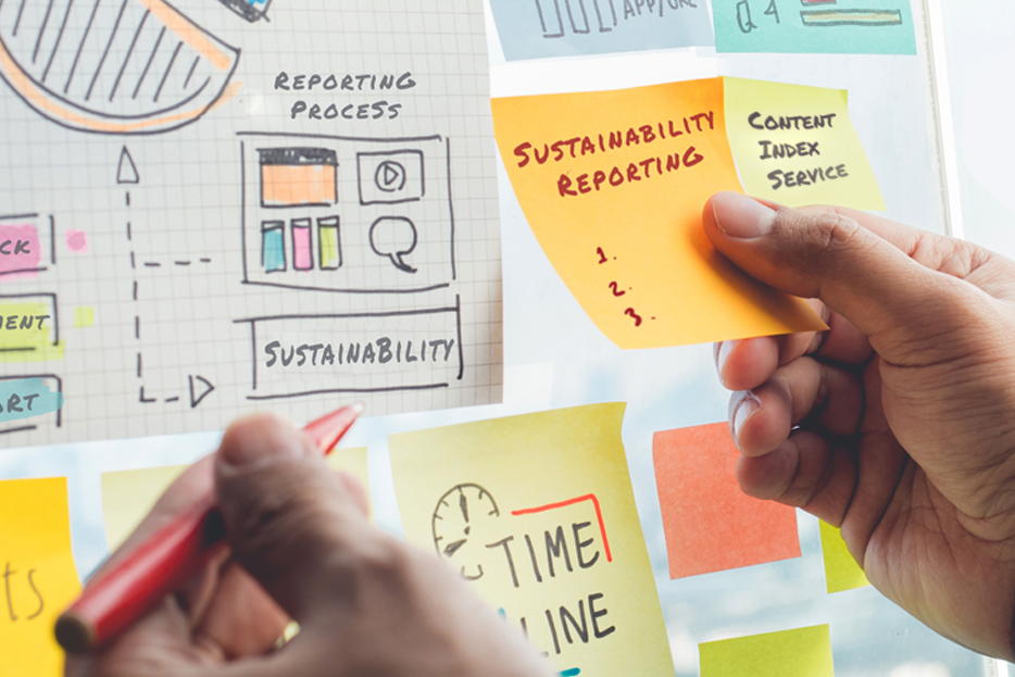 Esg Network Zimbabwe Establishes Esg Leadership Academy